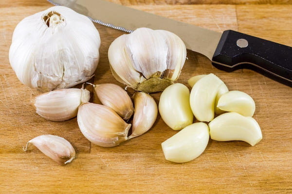 تصویر 2 از خرید و قیمت سیر سفید بی بو + فروش عمده